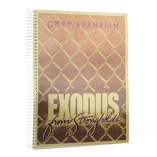 Exodus From Strongholds Workbook